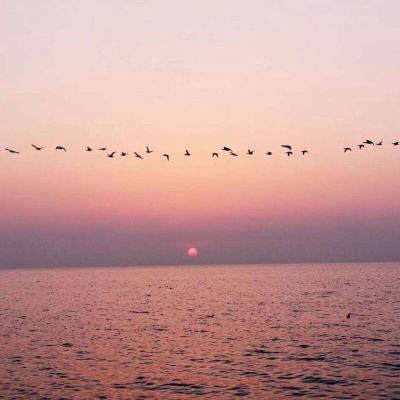 888电玩城游戏厅